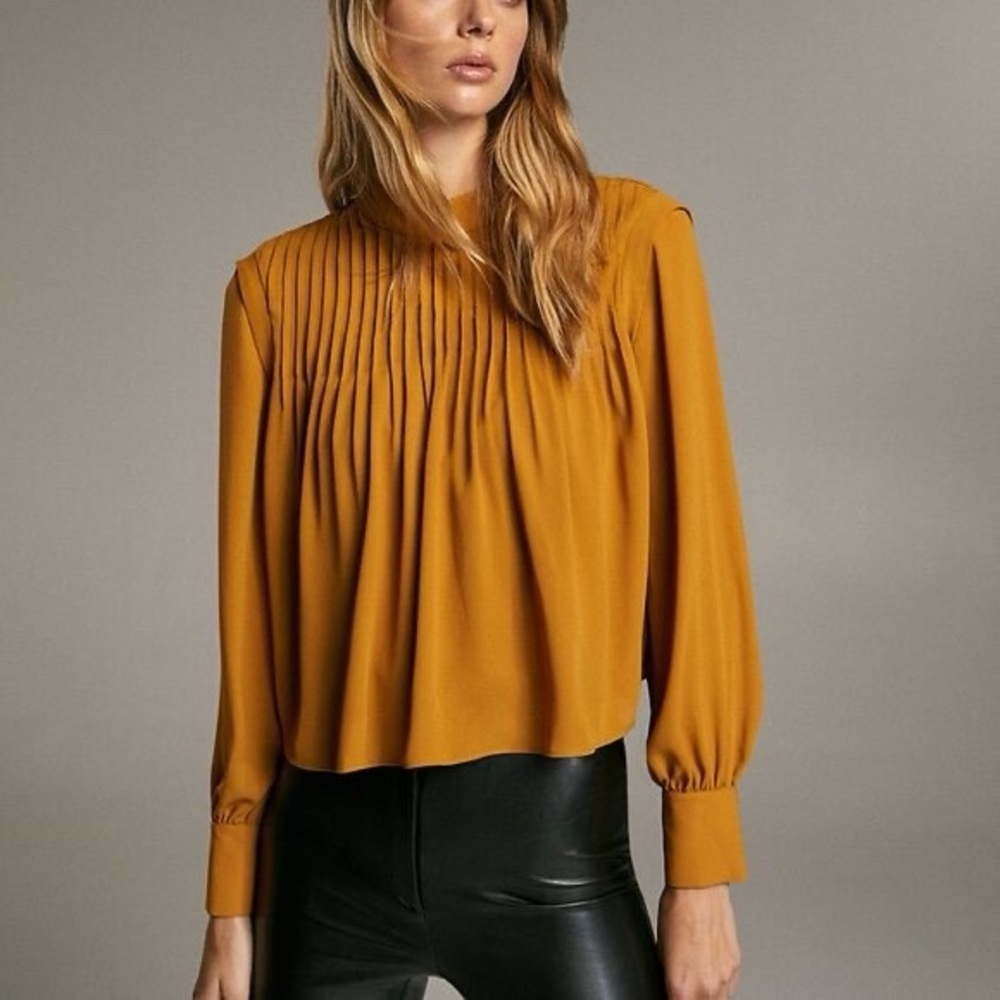 Aritzia Babaton Blouse